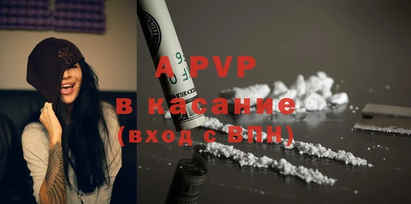 молекула духа Белоозёрский