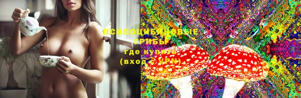 spice Белокуриха