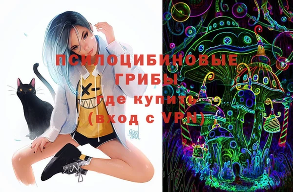 молекула духа Белоозёрский