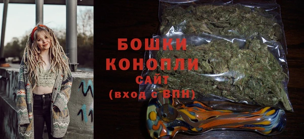 молекула духа Белоозёрский