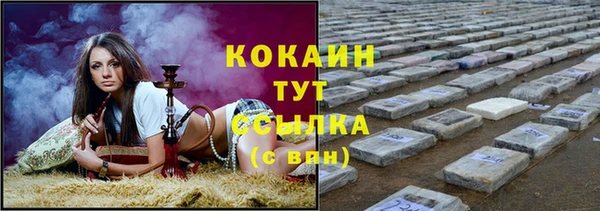 молекула духа Белоозёрский
